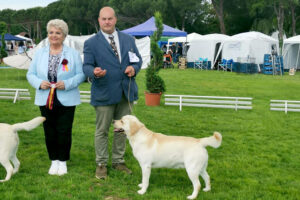 Arthur Ascends to the Top Position at the BOB Toscana and BOB Group Cinofilo Piacentino